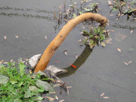 south west project detroit