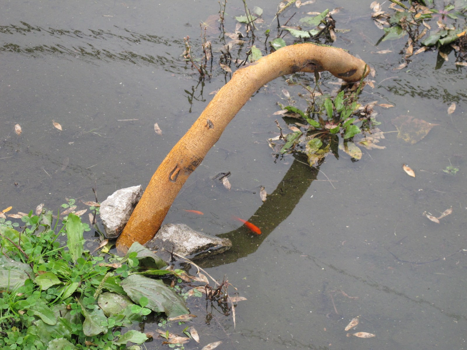 south west project detroit